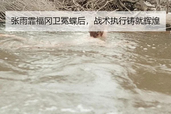 张雨霏福冈卫冕蝶后，战术执行铸就辉煌