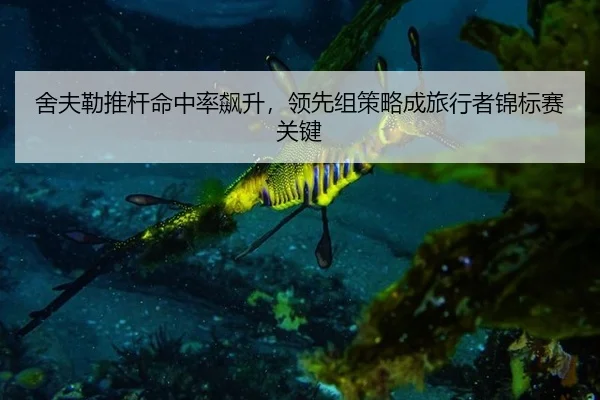 she-fu-lei-tui-gan-ming-zhong-lv-biao-sheng-ling-xian-zu-ce-lve-cheng-lv-xing-zhe-jin-biao-sai-guan-jian-3-434.jpg