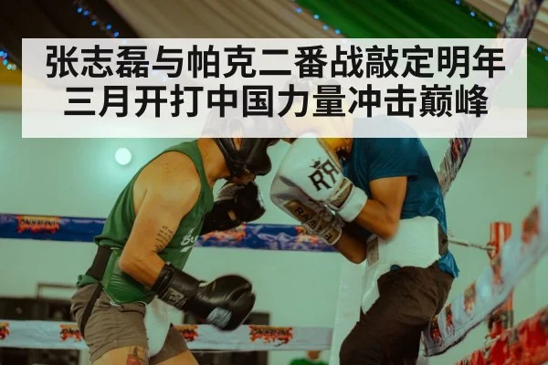 张志磊与帕克二番战敲定明年三月开打中国力量冲击巅峰